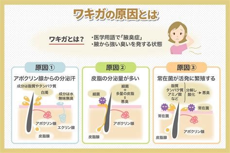 ワキガ 外国人|ワキガ（腋臭）の原因や対策、海外との意識の違い